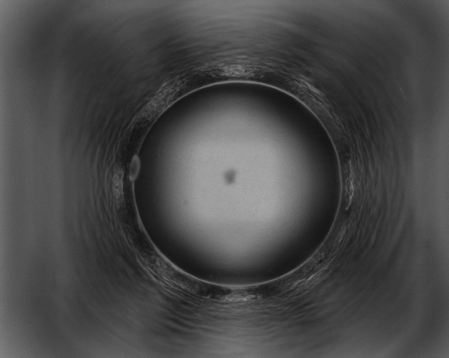 X0000052640213200507160205