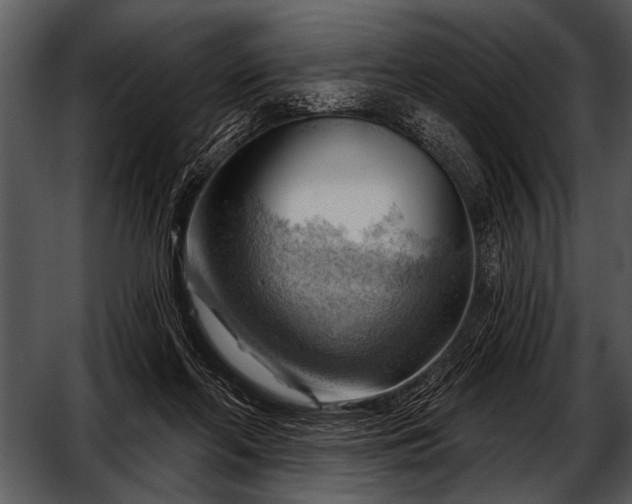 X0000052640214200507160205