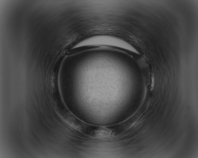 X0000052640215200507160205