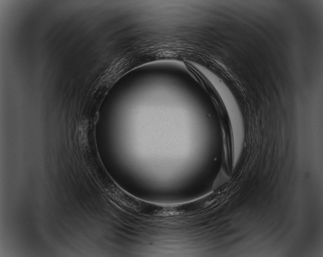 X0000052640217200507160205