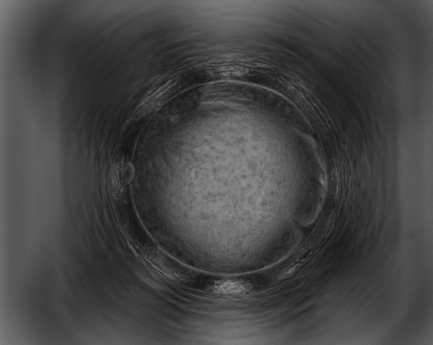 X0000052640218200507160205