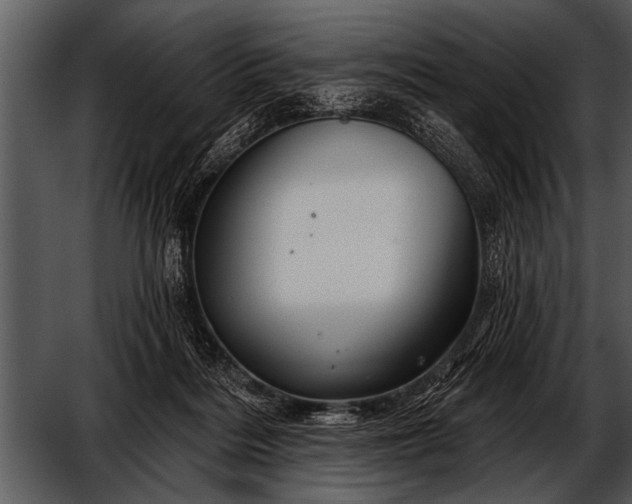 X0000052640220200507160205