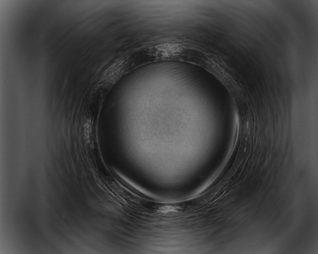 X0000052640222200507160205