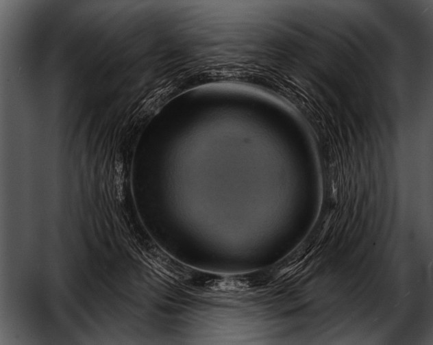 X0000052640223200507160205