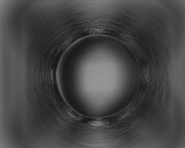 X0000052640224200507160205