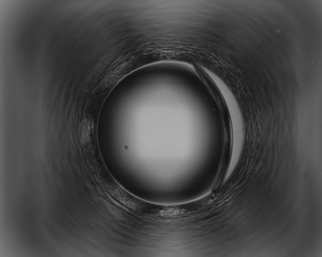 X0000052640225200507160205