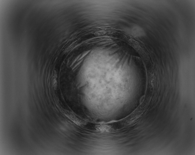 X0000052640226200507160205