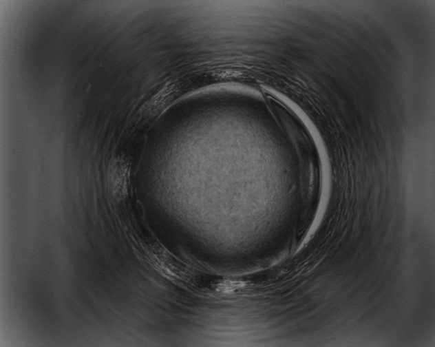 X0000052640227200507160205