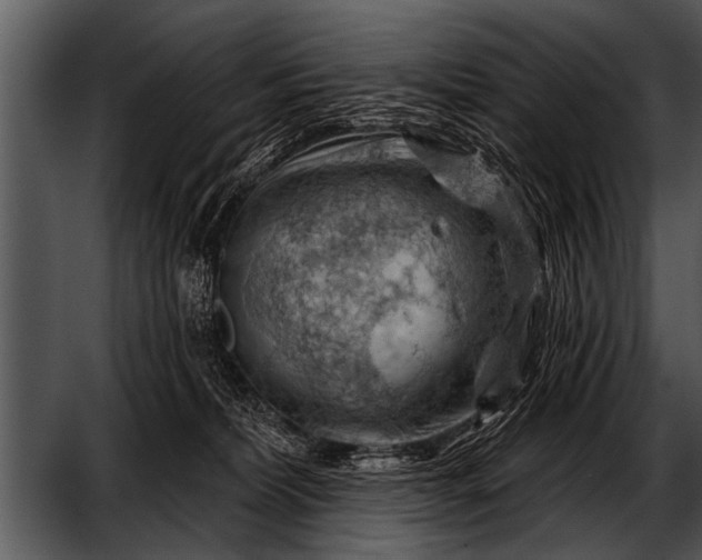 X0000052640228200507160205