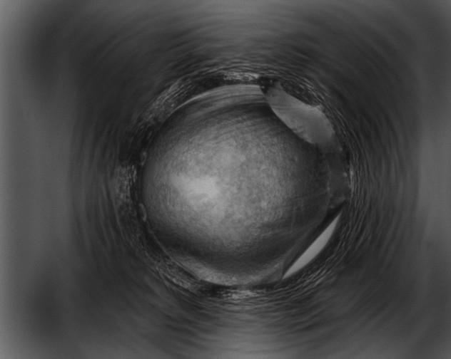 X0000052640229200507160205