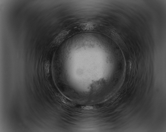 X0000052640230200507160205