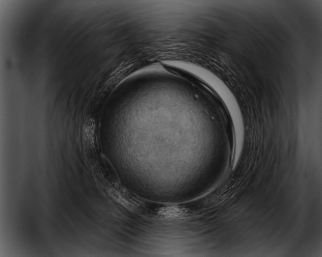 X0000052640231200507160205