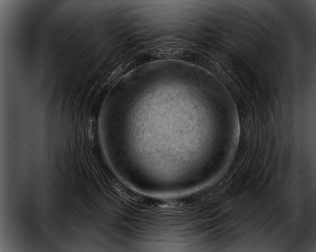 X0000052640232200507160205