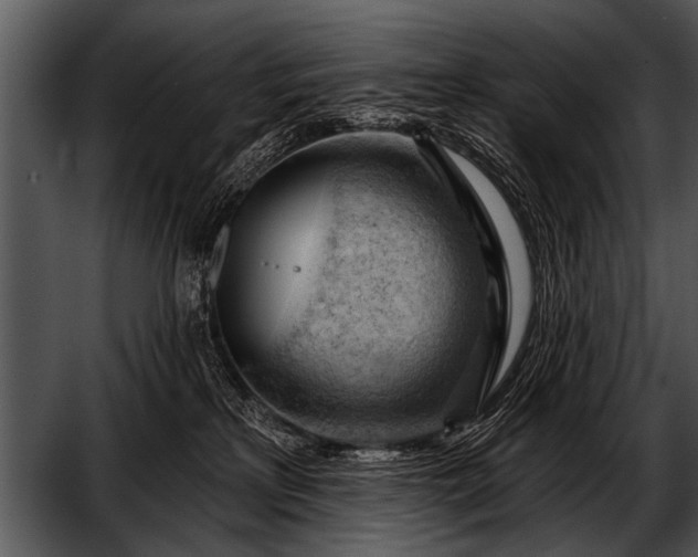 X0000052640233200507160205