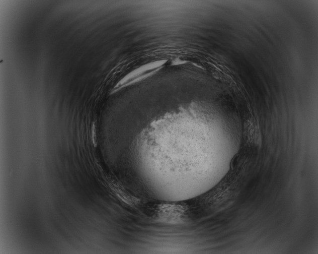 X0000052640234200507160205