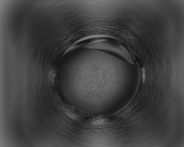 X0000052640235200507160205