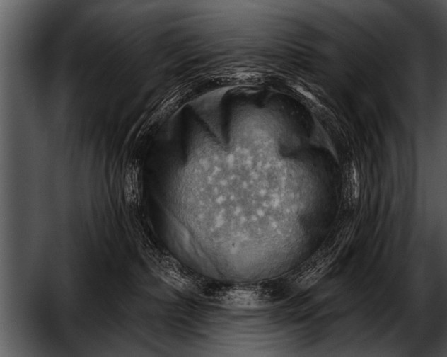 X0000052640236200507160205