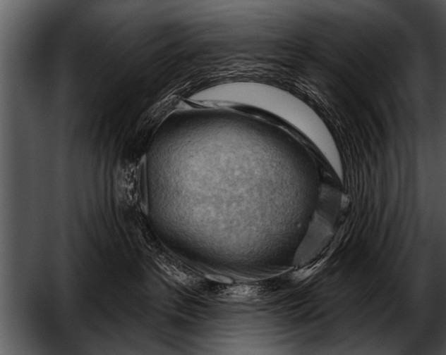 X0000052640237200507160205