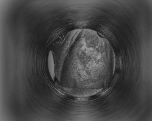 X0000052640238200507160205