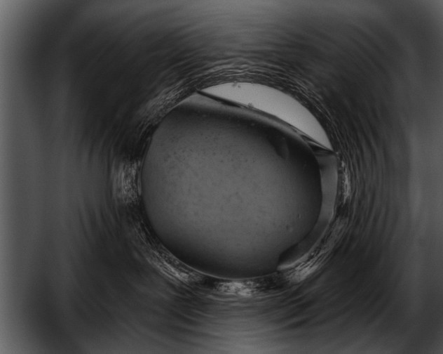 X0000052640239200507160205