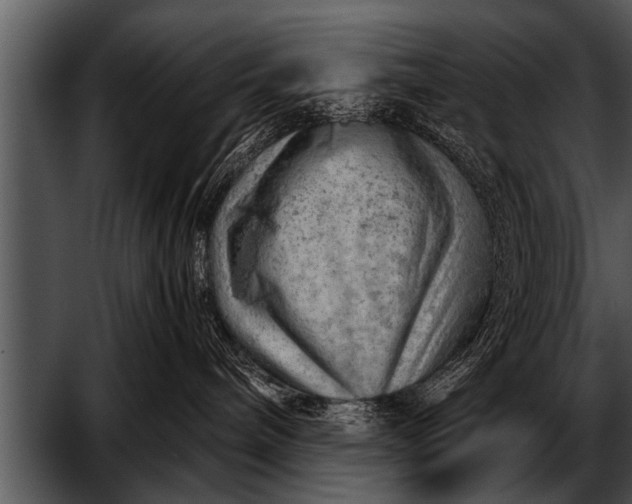 X0000052640240200507160205