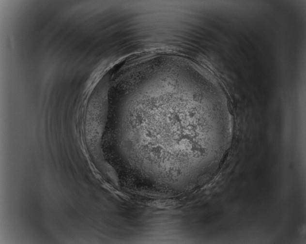 X0000052640241200507160204