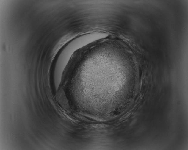 X0000052640242200507160204