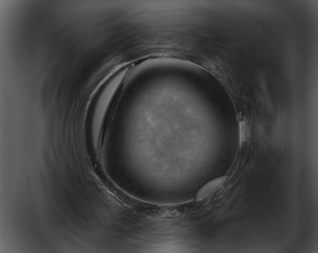 X0000052640243200507160204