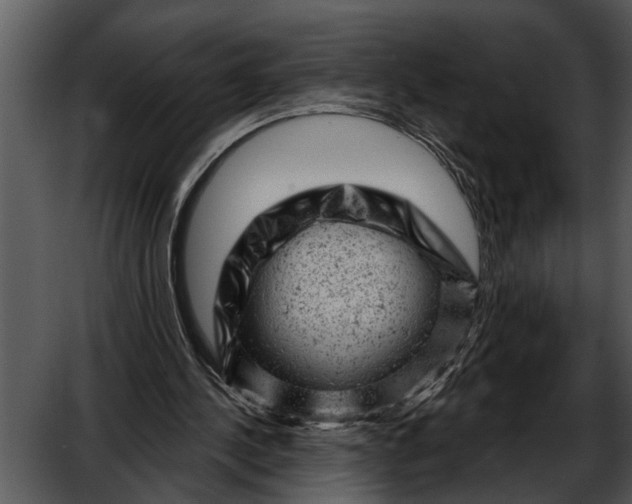 X0000052640244200507160204