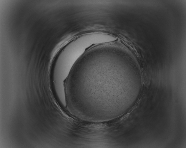 X0000052640245200507160204