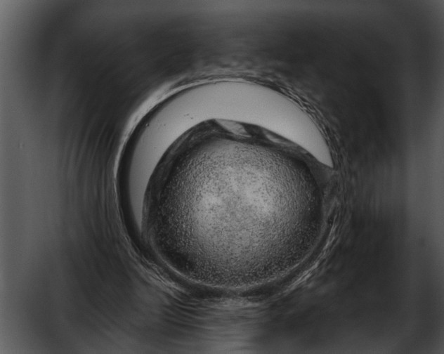 X0000052640246200507160204