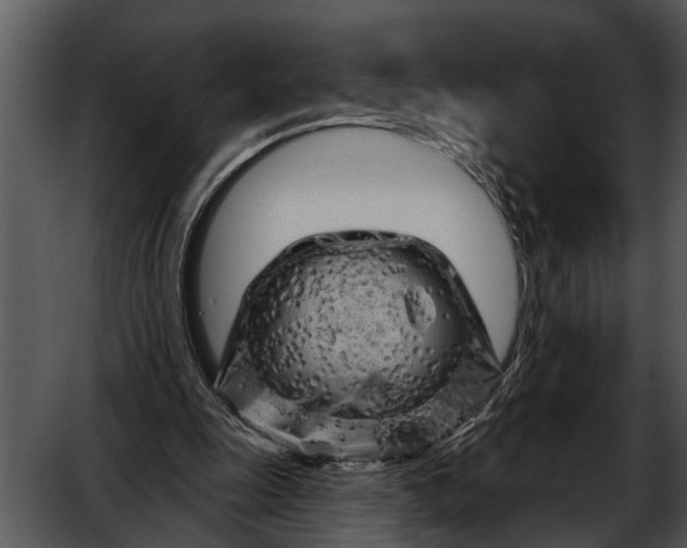 X0000052640247200507160204