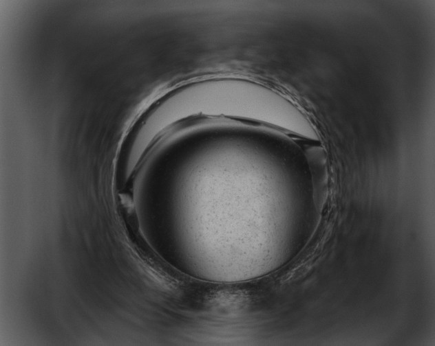 X0000052640248200507160204