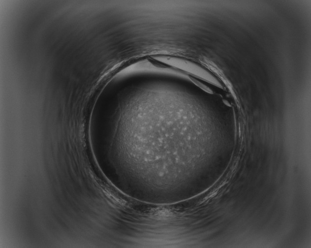 X0000052640249200507160204