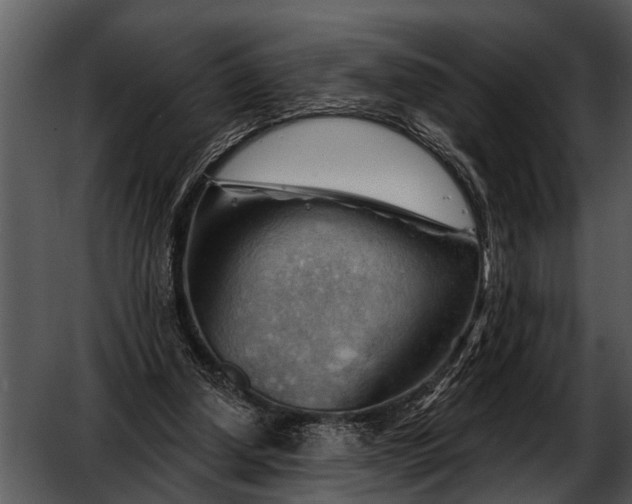 X0000052640250200507160204