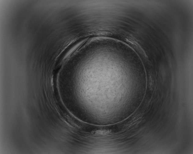 X0000052640251200507160204