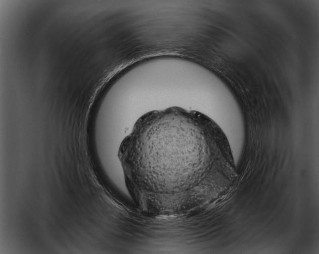 X0000052640252200507160204