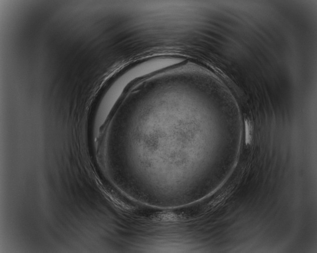 X0000052640253200507160204