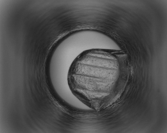 X0000052640256200507160204