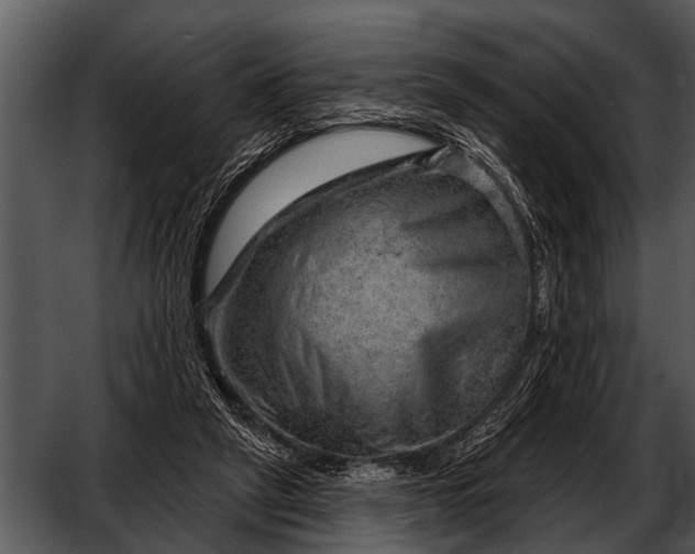 X0000052640257200507160204