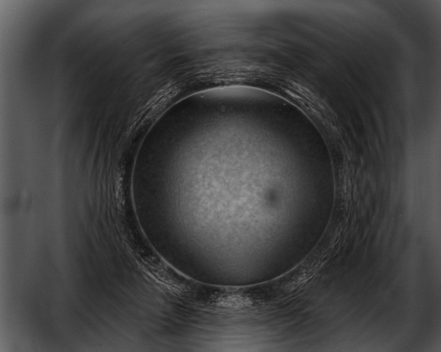 X0000052640258200507160204