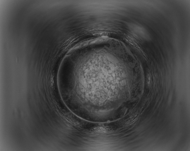 X0000052640259200507160204