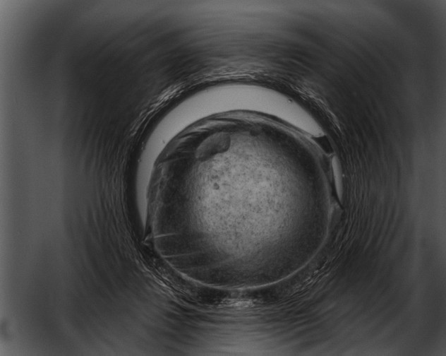 X0000052640260200507160204