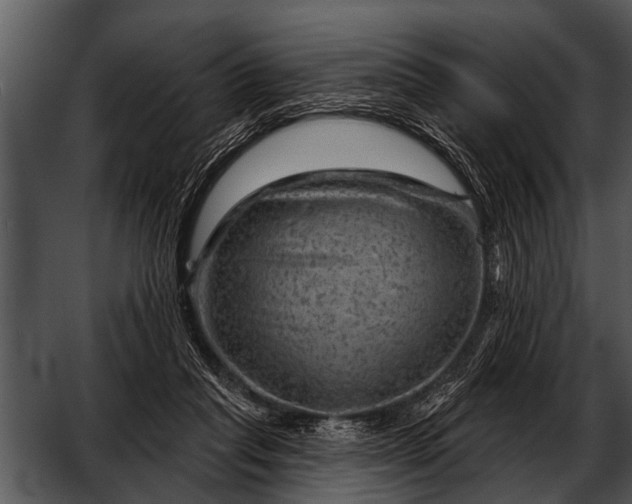 X0000052640261200507160204