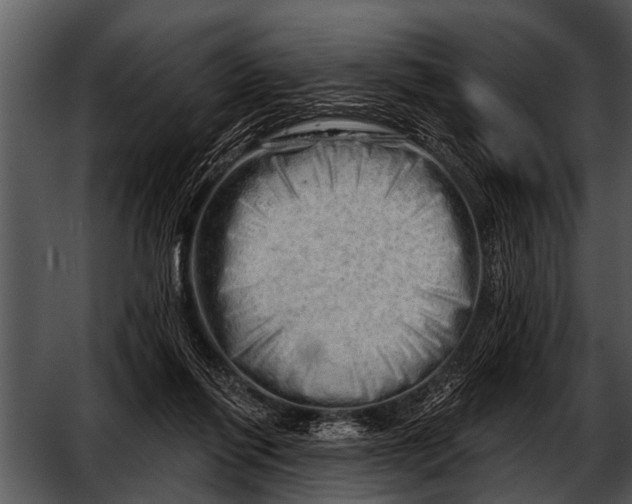 X0000052640262200507160204