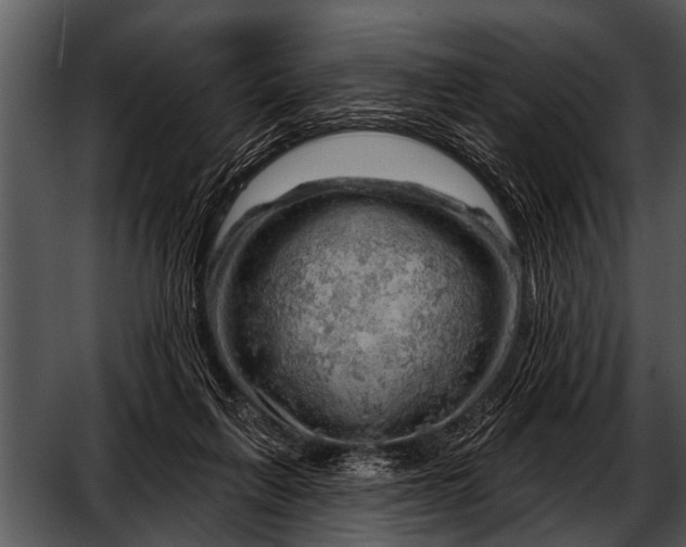 X0000052640263200507160204