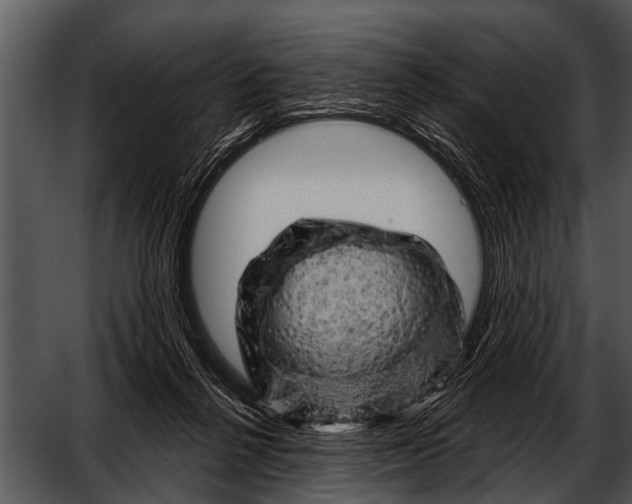 X0000052640264200507160204