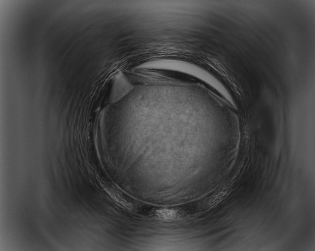 X0000052640265200507160204