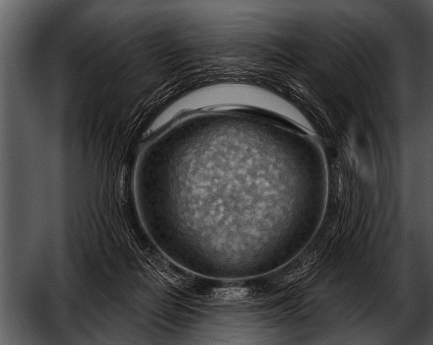 X0000052640266200507160204