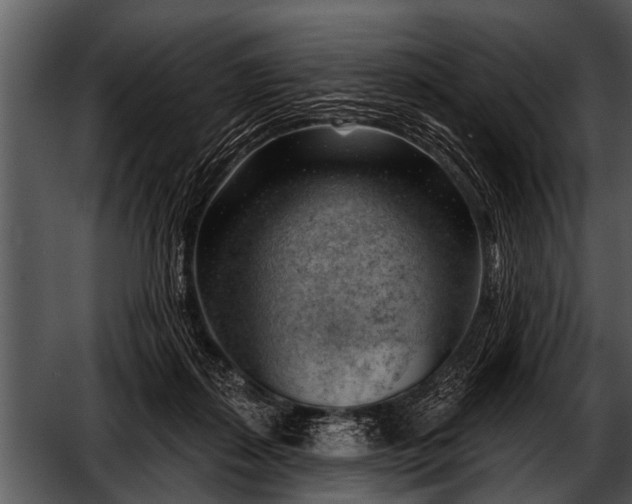 X0000052640267200507160204